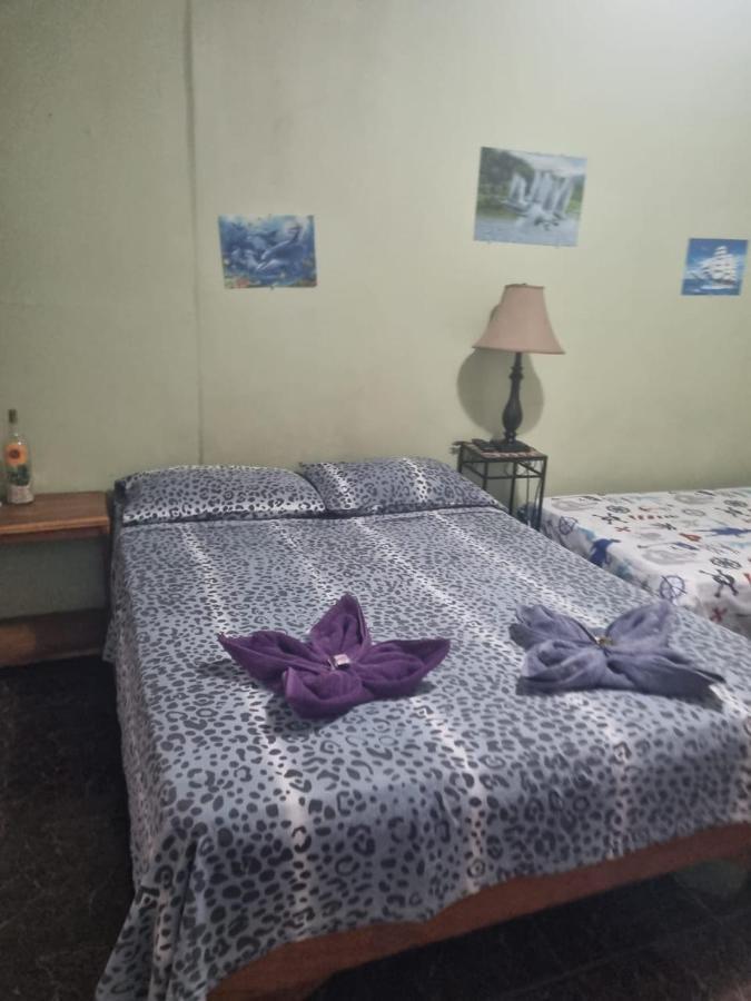 Hotel Paradise Alajuela Río Segundo Eksteriør bilde